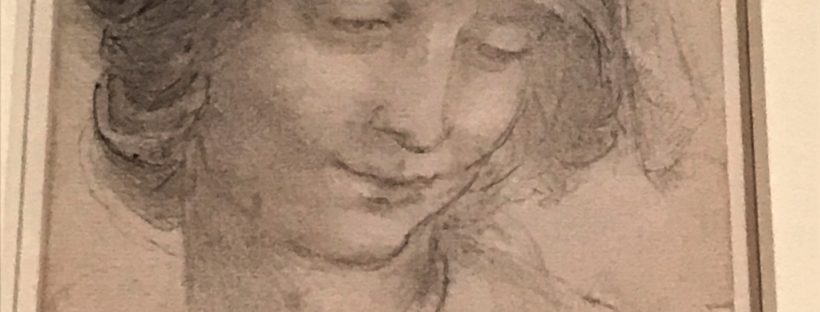 Leonardo da Vinci drawings